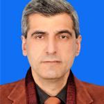 Prof. Bassam Abu Hamad